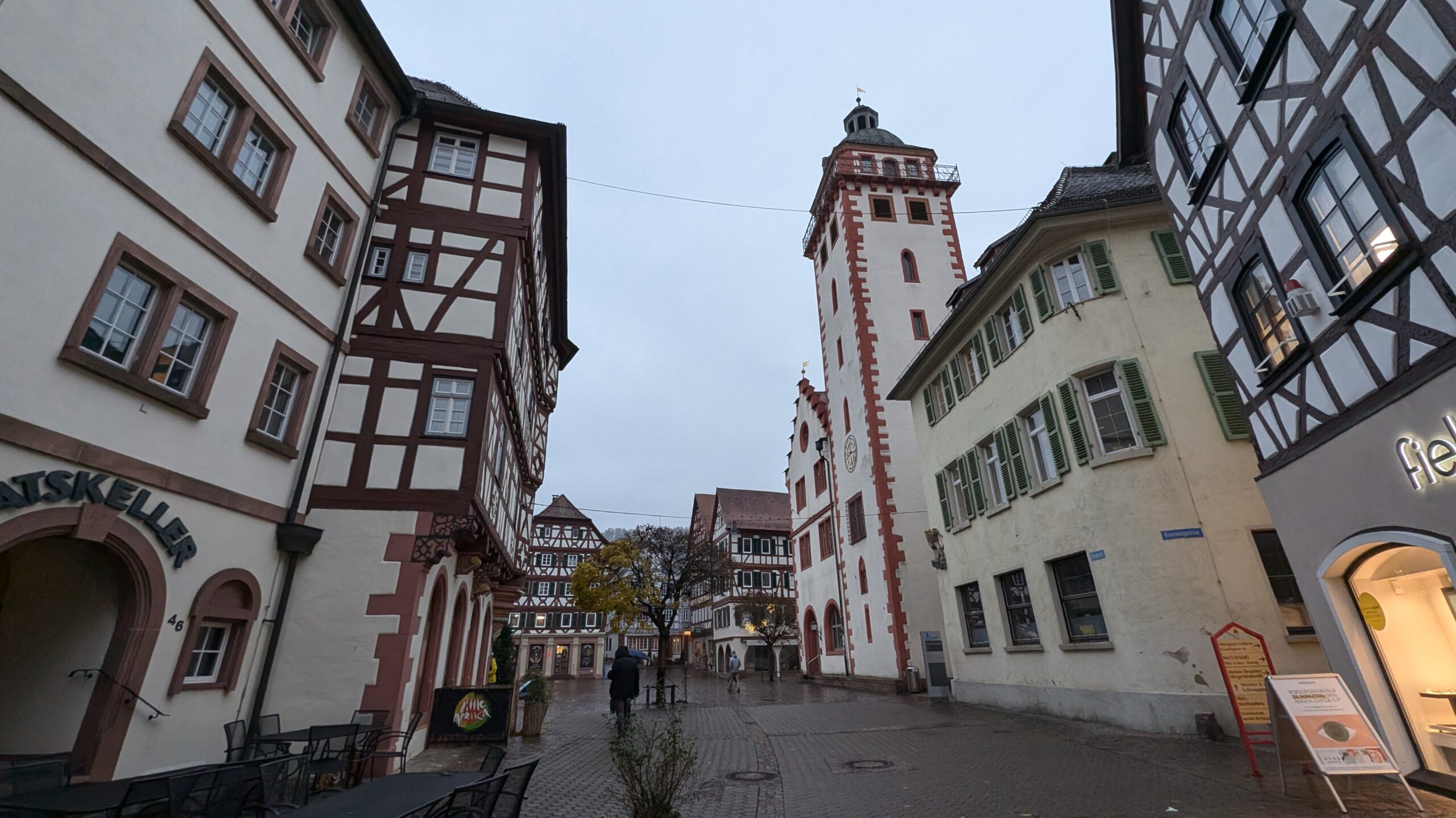 PXL_20241113_152145516