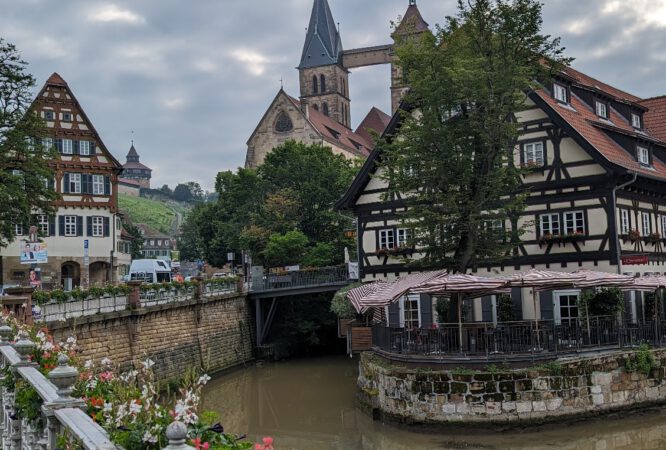 PXL_20240604_061034926